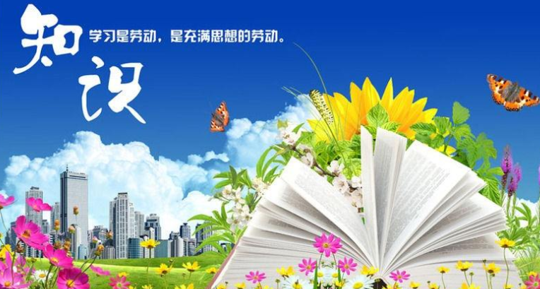 共同创始人退出海外子公司以应对正常调整